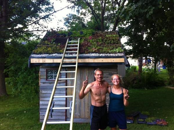 sedum-roof